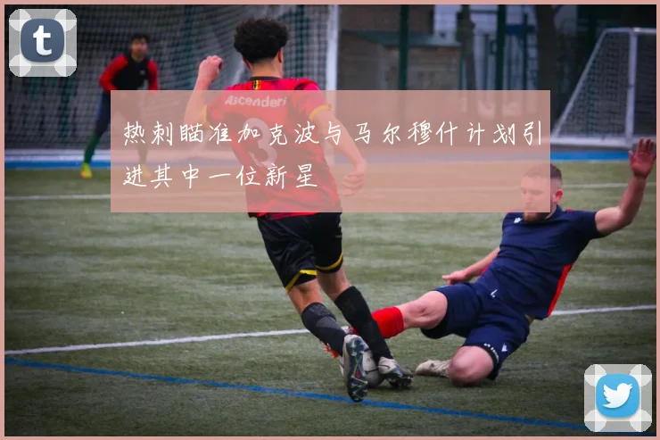 热刺瞄准加克波与马尔穆什计划引进其中一位新星